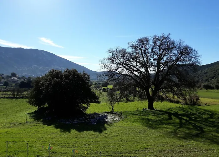 Mesoloras Valley View Valszamáta